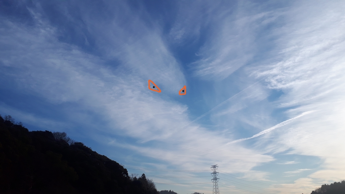 f:id:kumojun:20220127124407j:plain