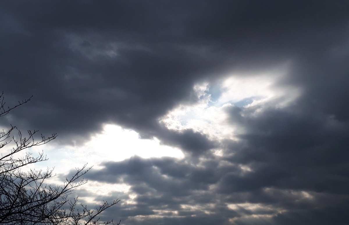 f:id:kumojun:20220128122345j:plain