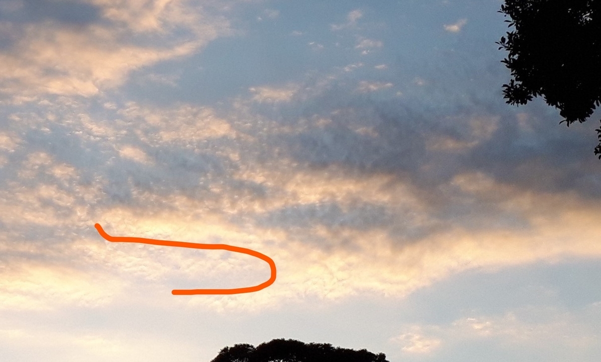 f:id:kumojun:20220201120408j:plain