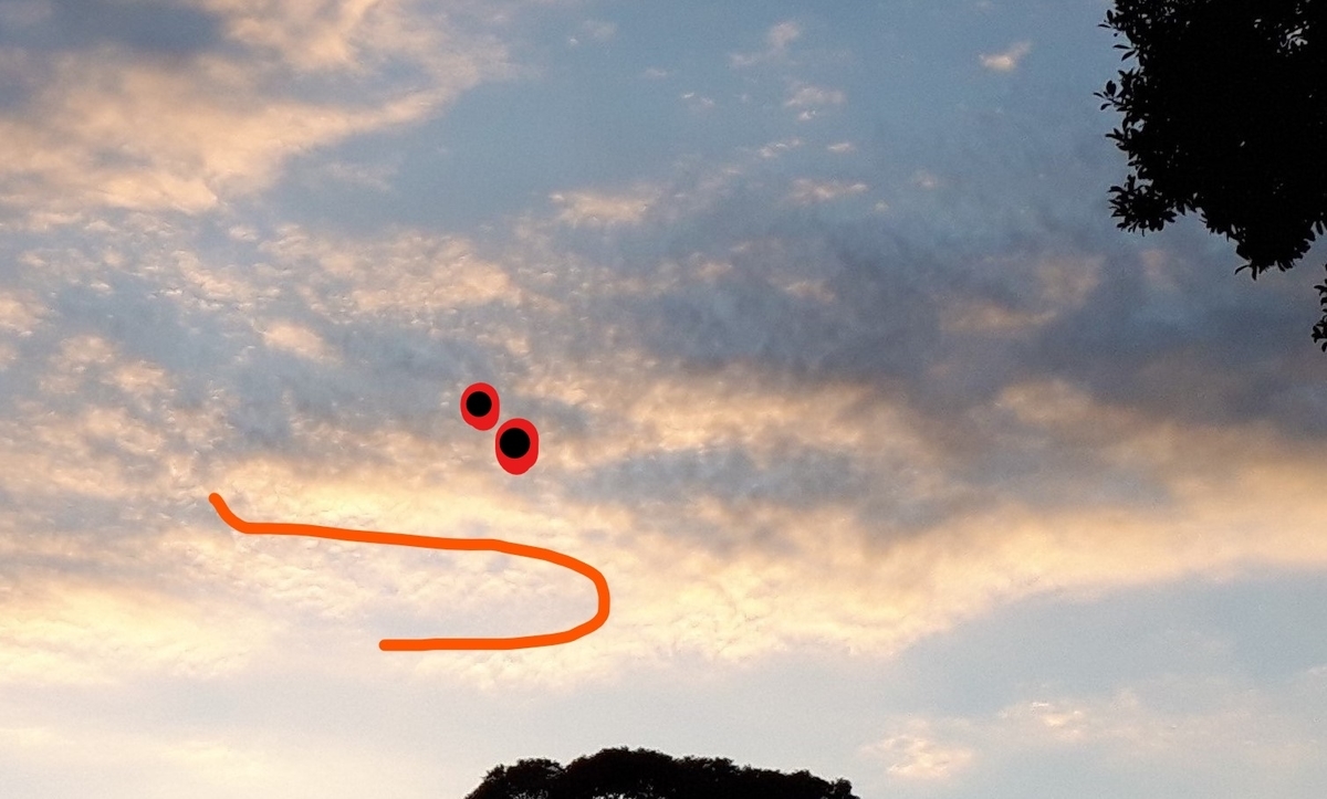 f:id:kumojun:20220201120557j:plain