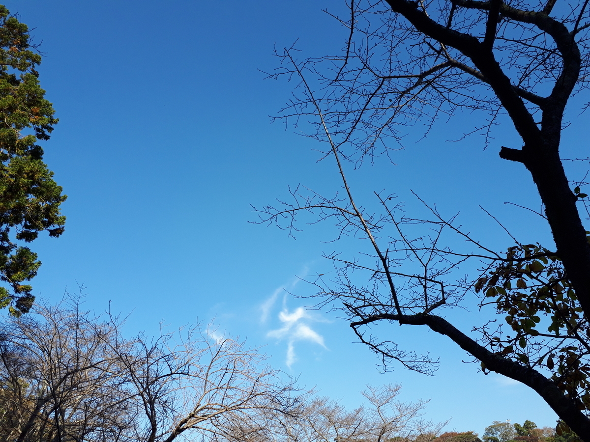f:id:kumojun:20220204145343j:plain