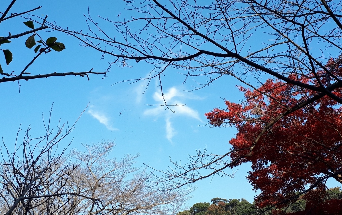 f:id:kumojun:20220210083828j:plain