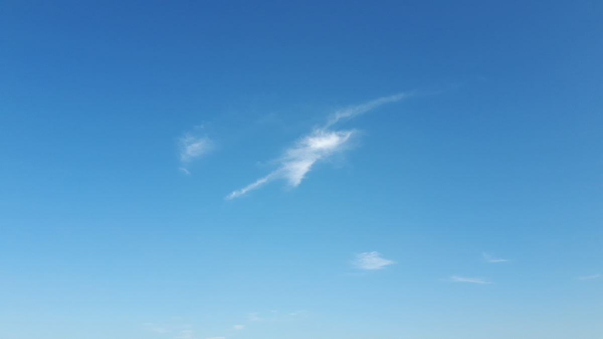 f:id:kumojun:20220210084712j:plain