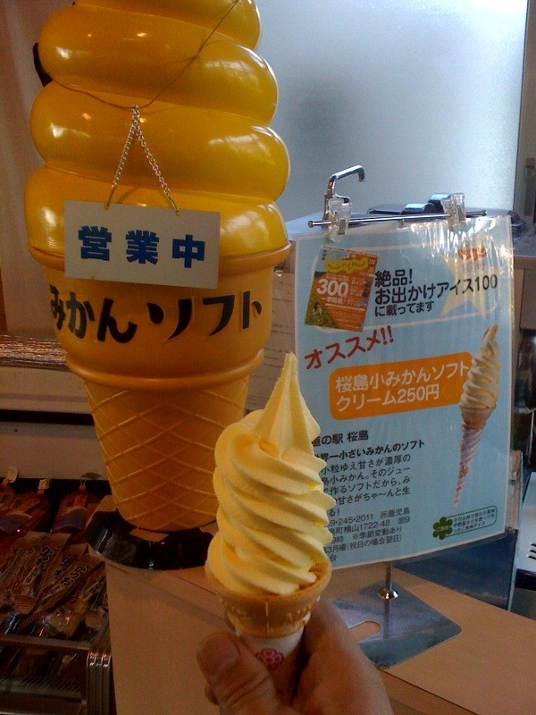 f:id:kumojuza:20091228112220j:image:w300