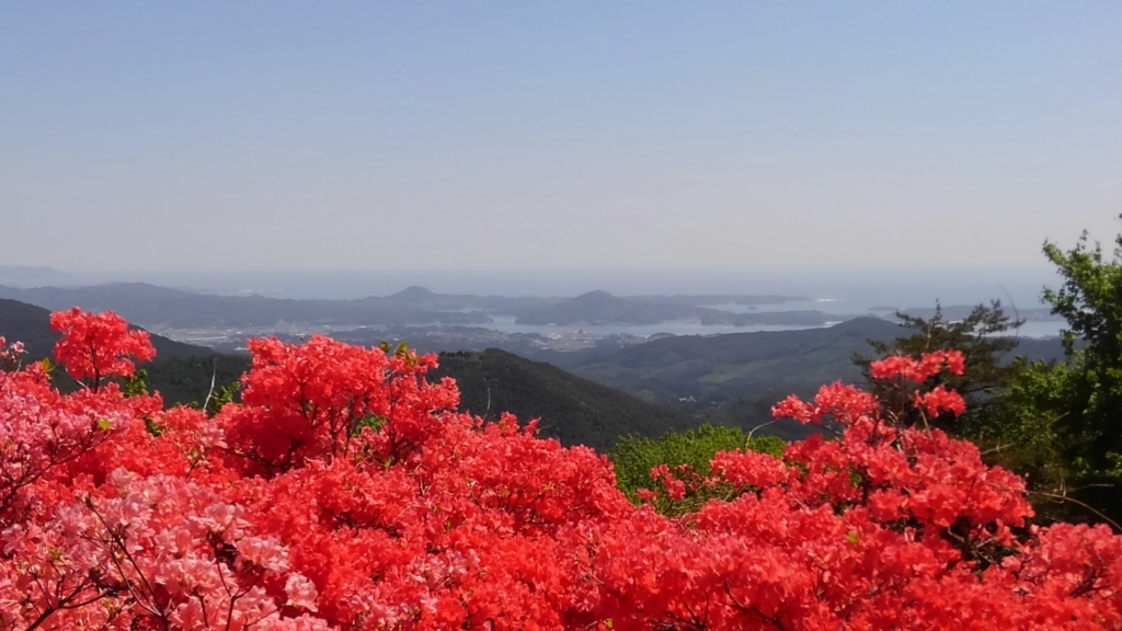 f:id:kumono-gotoku:20180525190329j:plain f:id:kumono-gotoku:20180525190329j:plain