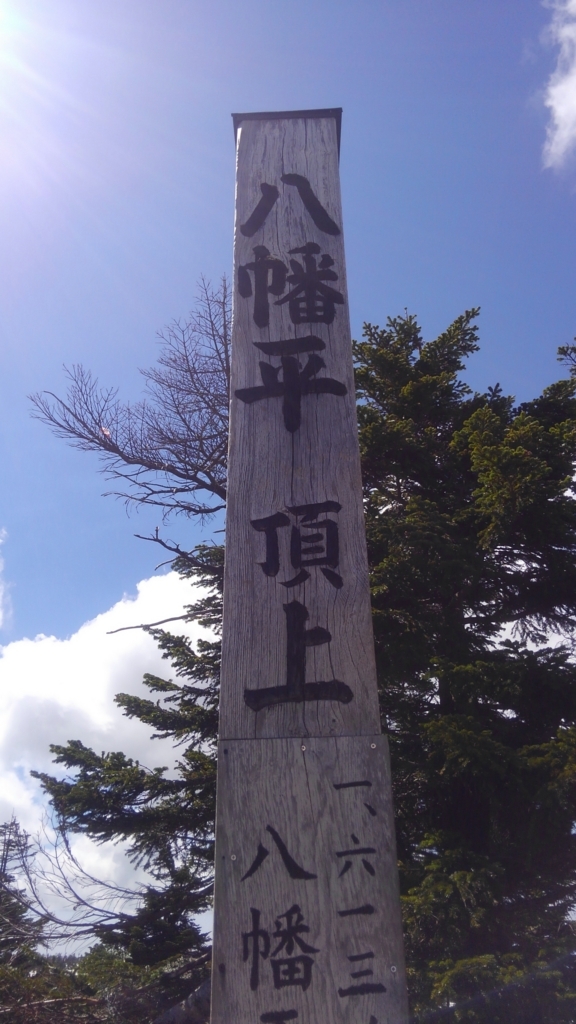 f:id:kumono-gotoku:20180529201316j:plain f:id:kumono-gotoku:20180529201316j:plain