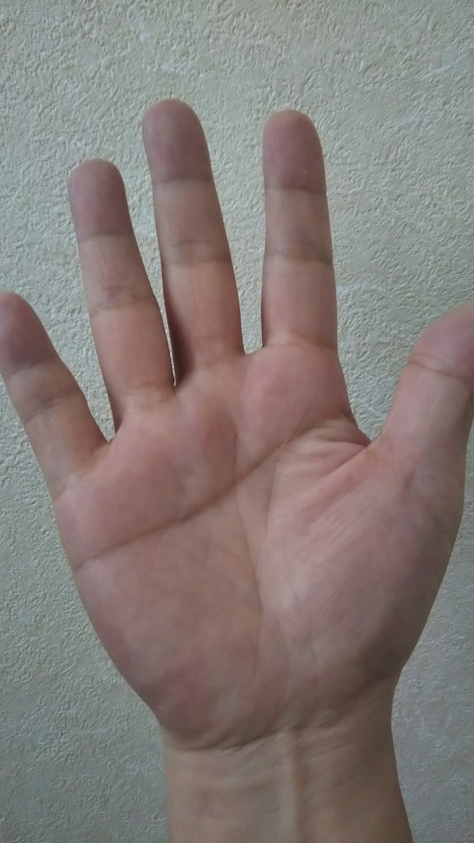 f:id:kumononami:20210615164101j:plain