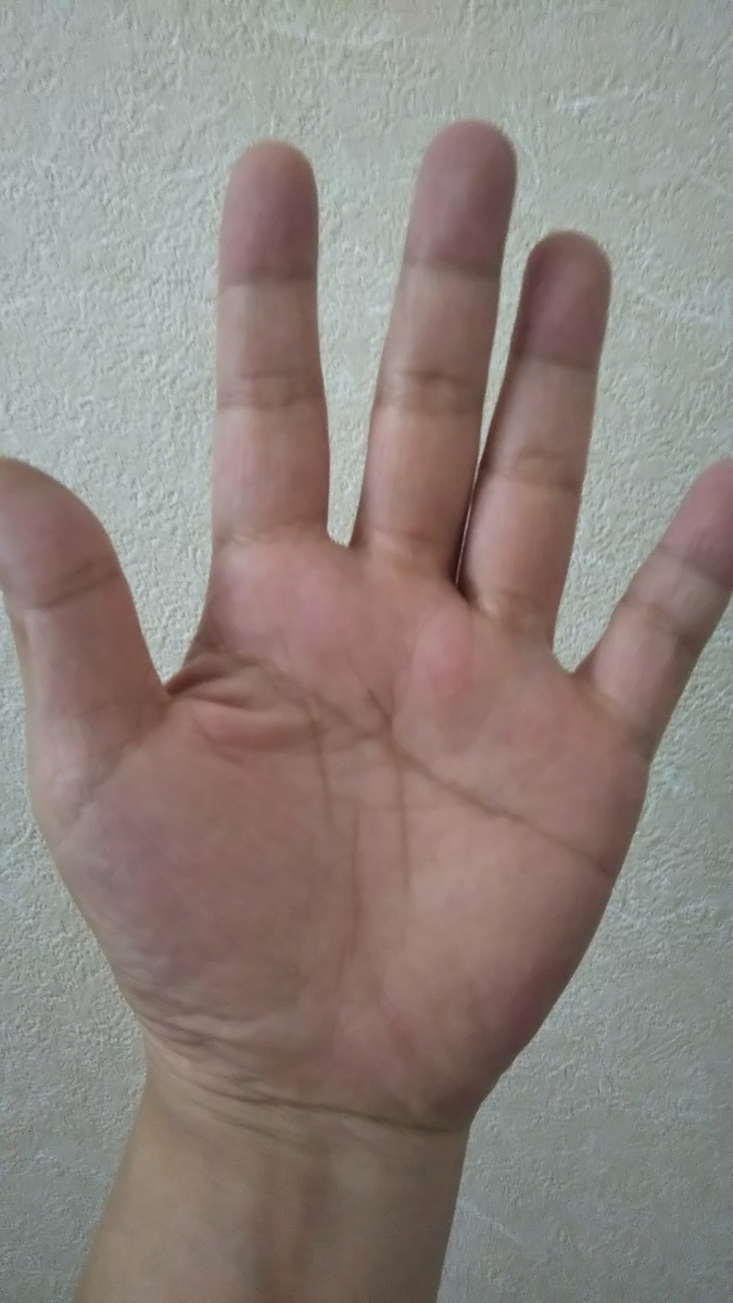 f:id:kumononami:20210615164346j:plain