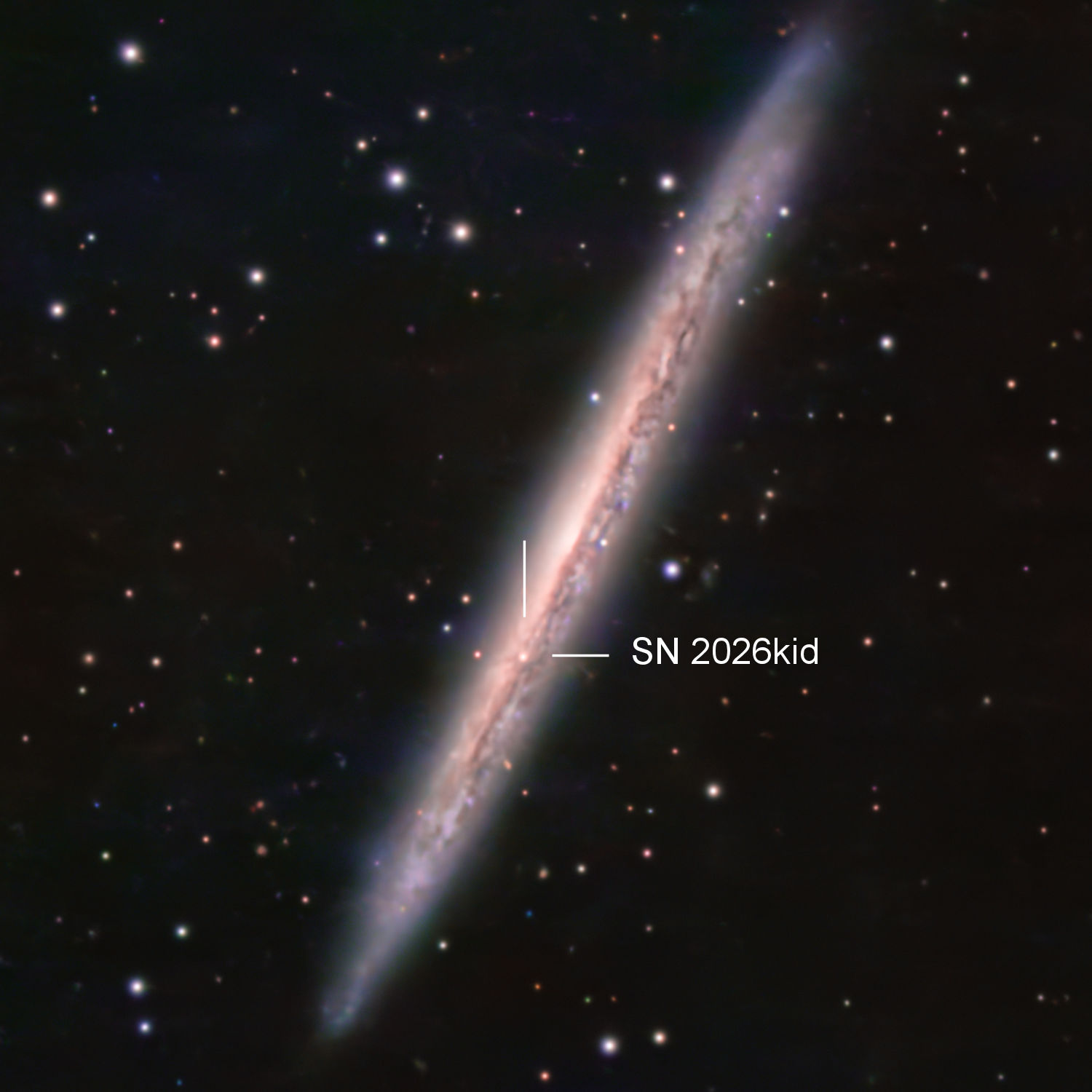 りゅう座NGC5907の超新星（C11鏡筒1年ぶりに復帰！） - 雲の上