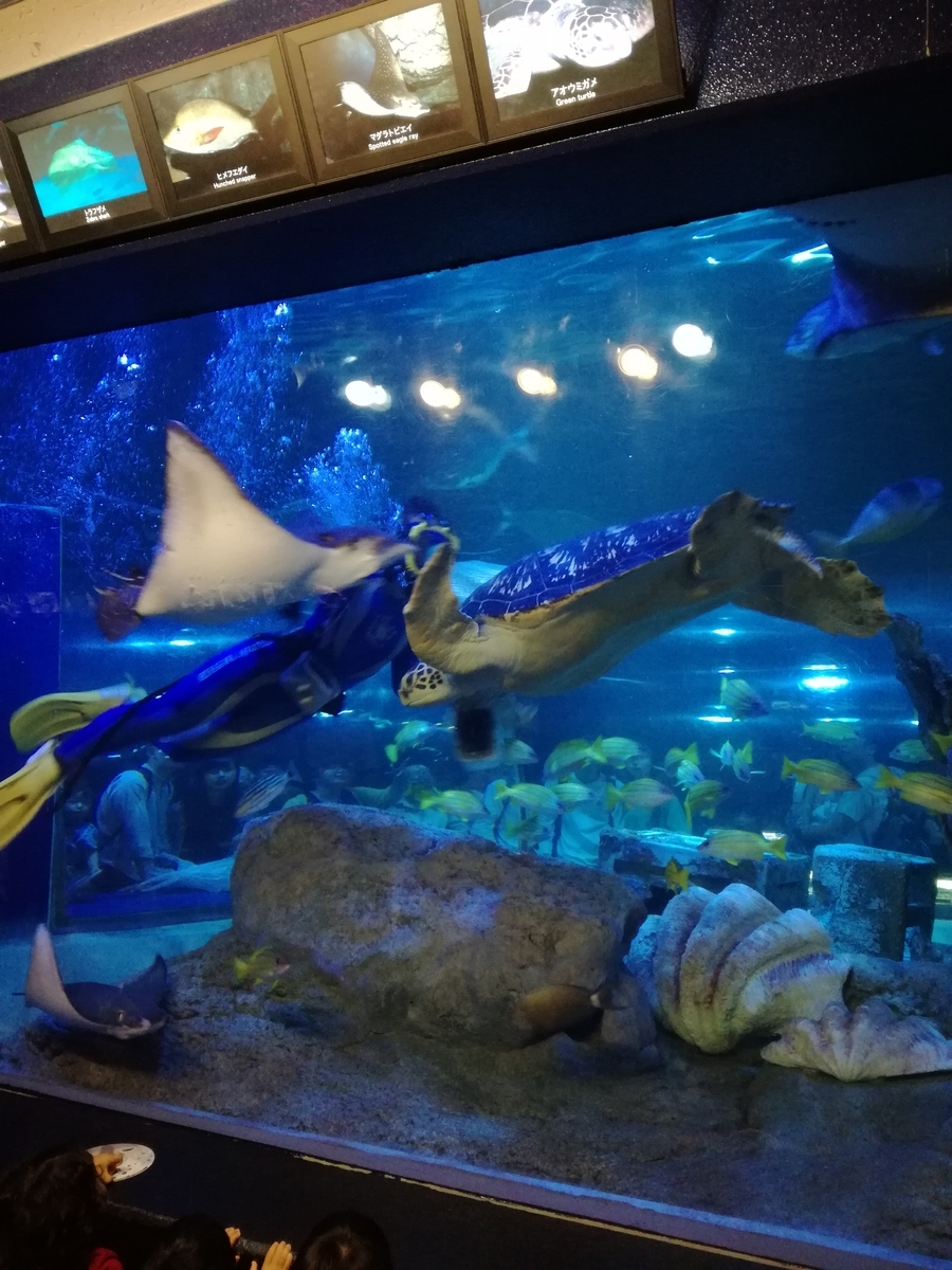 f:id:kumori-hare:20190917100419j:plain f:id:kumori-hare:20190917100419j:plain