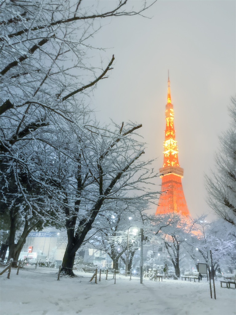 f:id:kumori-tokidoki-cat:20220113082401j:image