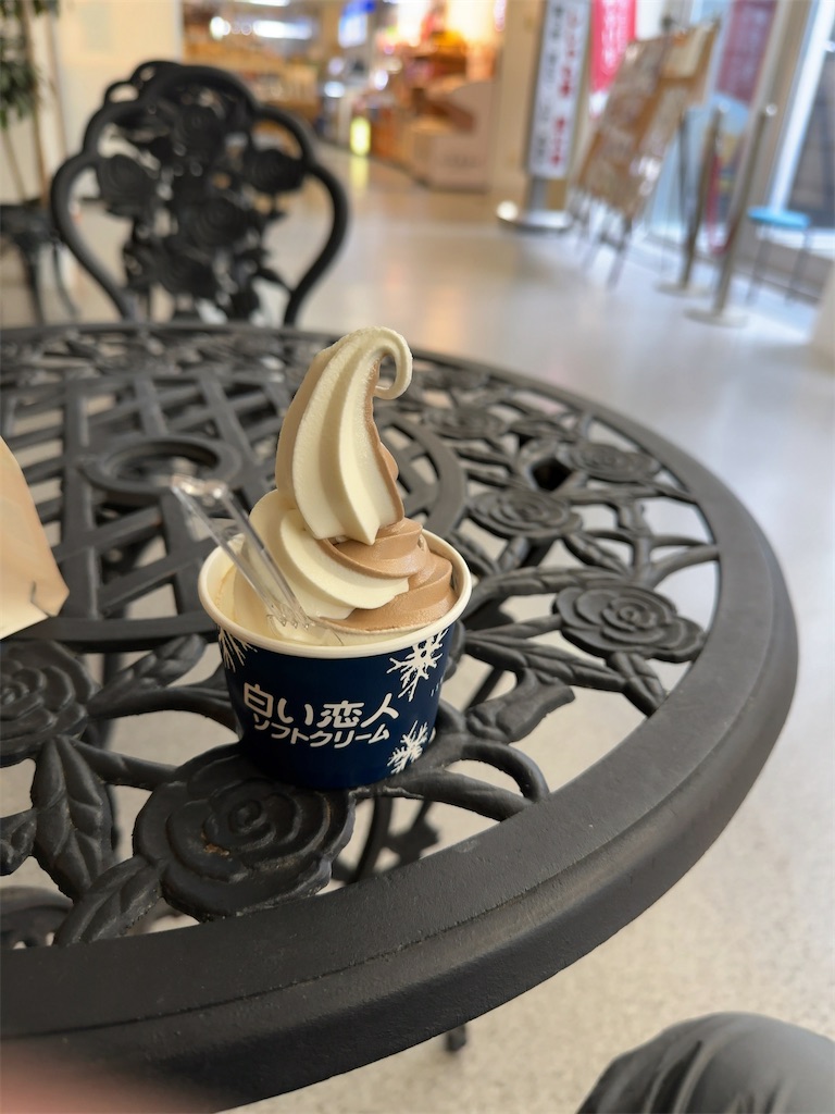 f:id:kumori-tokidoki-cat:20240626192553j:image