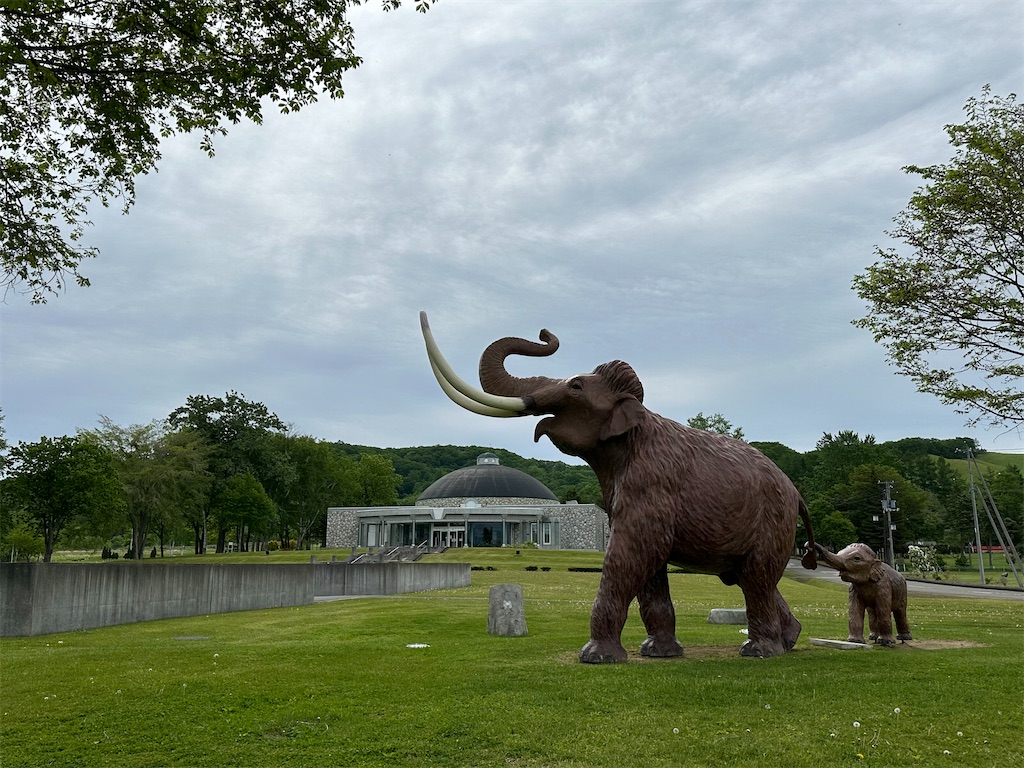 f:id:kumori-tokidoki-cat:20240626194227j:image