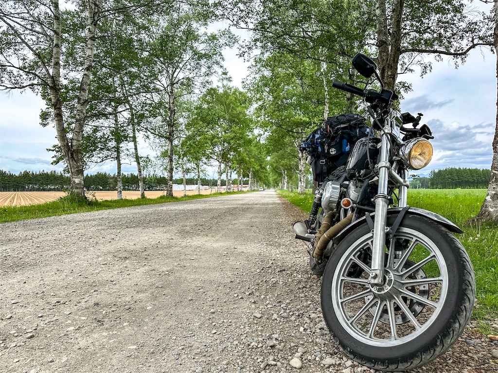 f:id:kumori-tokidoki-cat:20240626194834j:image