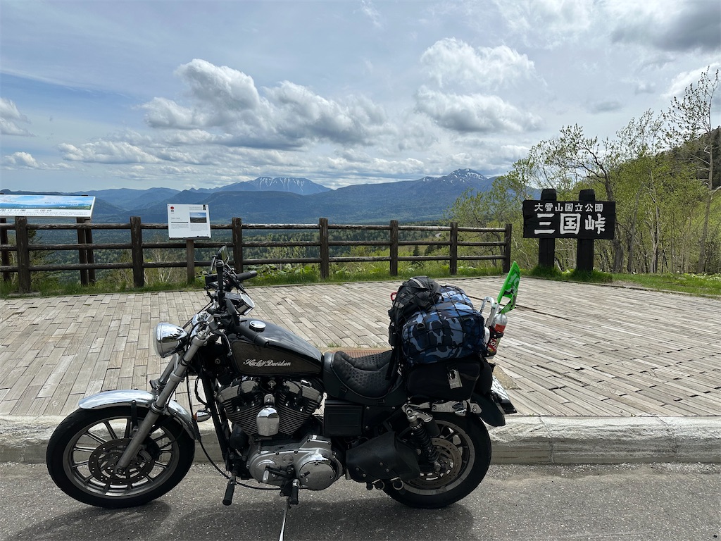 f:id:kumori-tokidoki-cat:20240626200654j:image