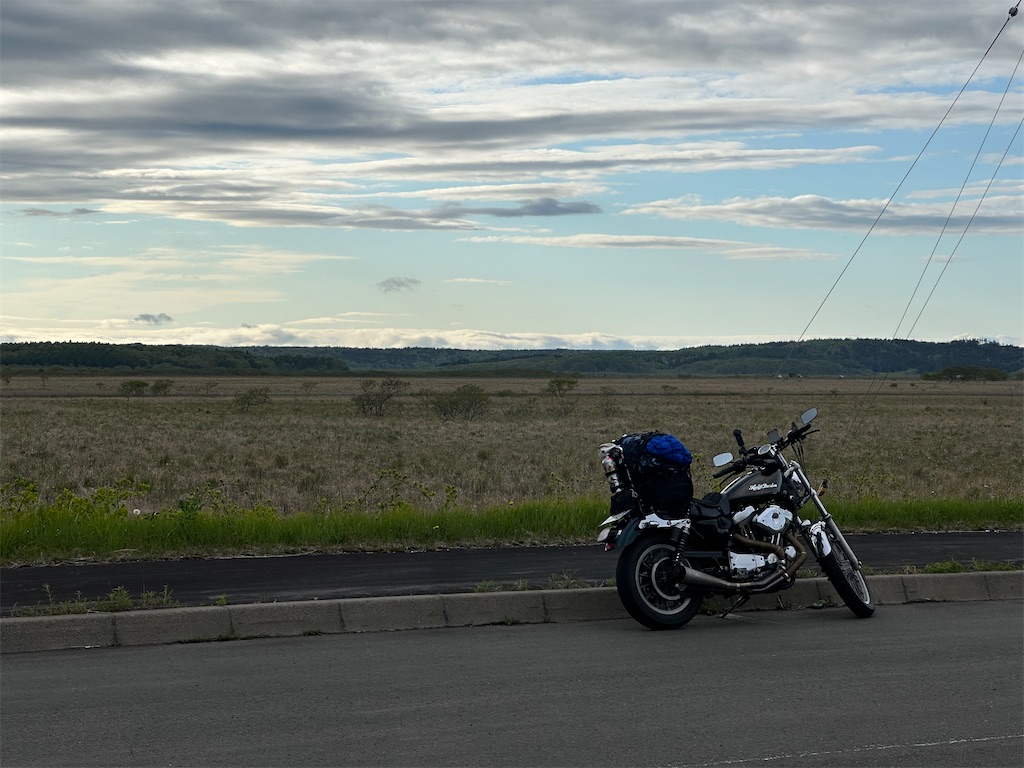 f:id:kumori-tokidoki-cat:20240628191638j:image f:id:kumori-tokidoki-cat:20240628191638j:image