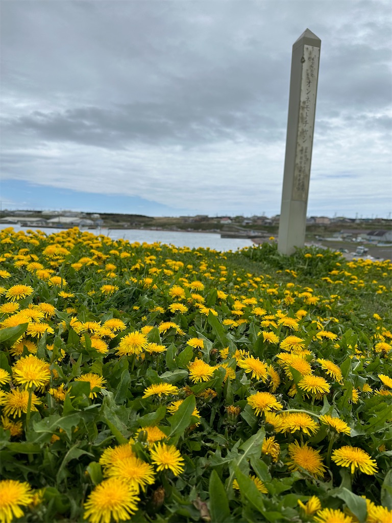 f:id:kumori-tokidoki-cat:20240702231147j:image f:id:kumori-tokidoki-cat:20240702231147j:image