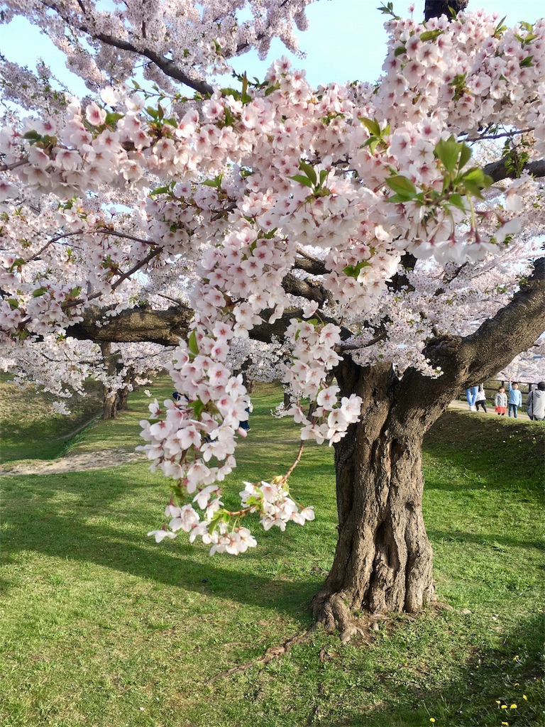 f:id:kumoribiniaruku:20180503103803j:plain f:id:kumoribiniaruku:20180503103803j:plain