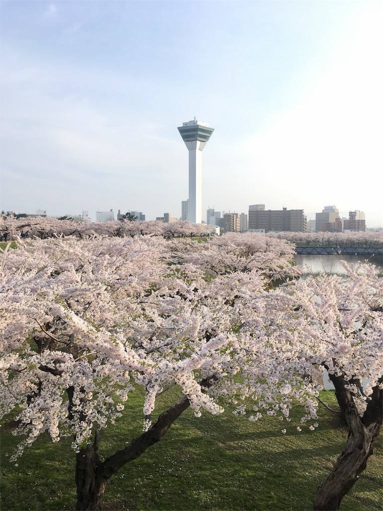 f:id:kumoribiniaruku:20180503104008j:plain f:id:kumoribiniaruku:20180503104008j:plain