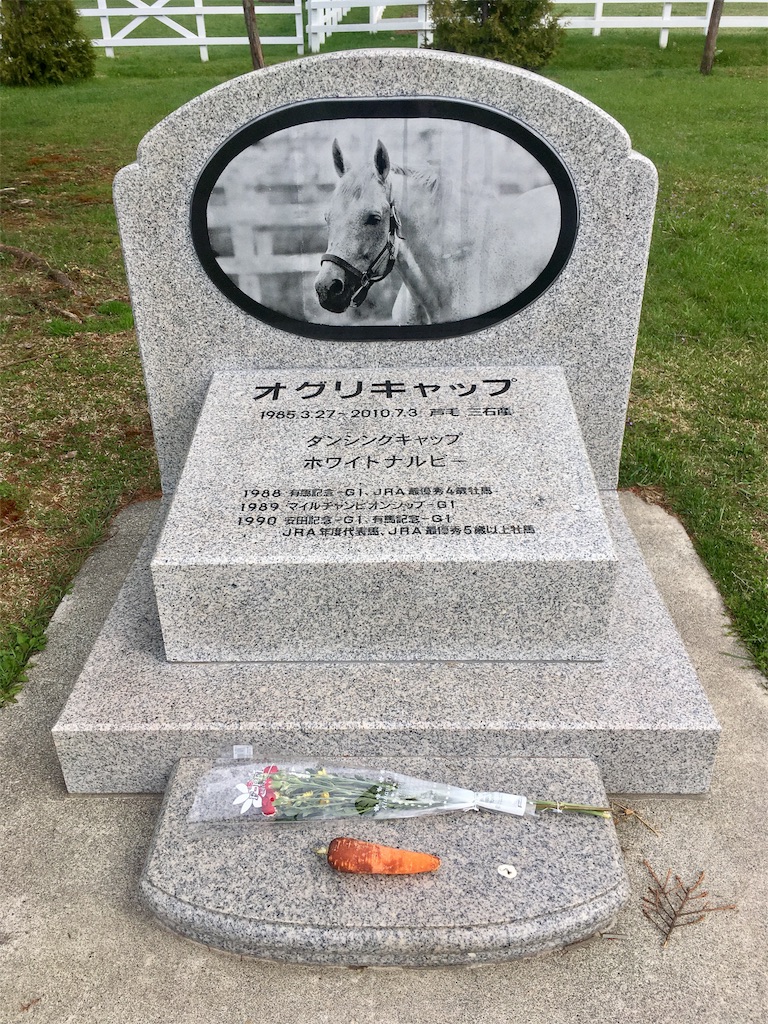 f:id:kumoribiniaruku:20180503131248j:plain f:id:kumoribiniaruku:20180503131248j:plain