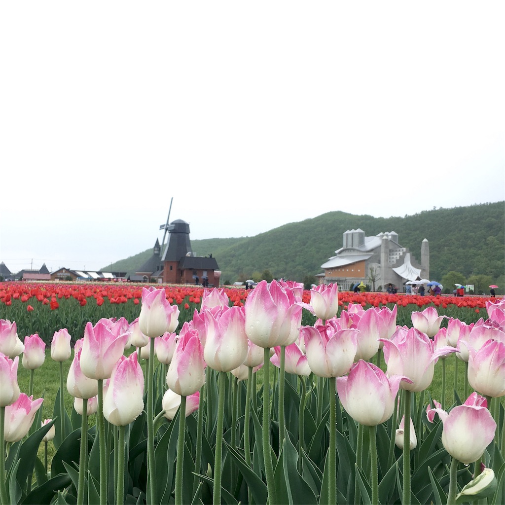 f:id:kumoribiniaruku:20180526022339j:plain f:id:kumoribiniaruku:20180526022339j:plain