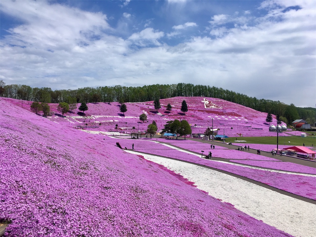 f:id:kumoribiniaruku:20180526024158j:plain f:id:kumoribiniaruku:20180526024158j:plain