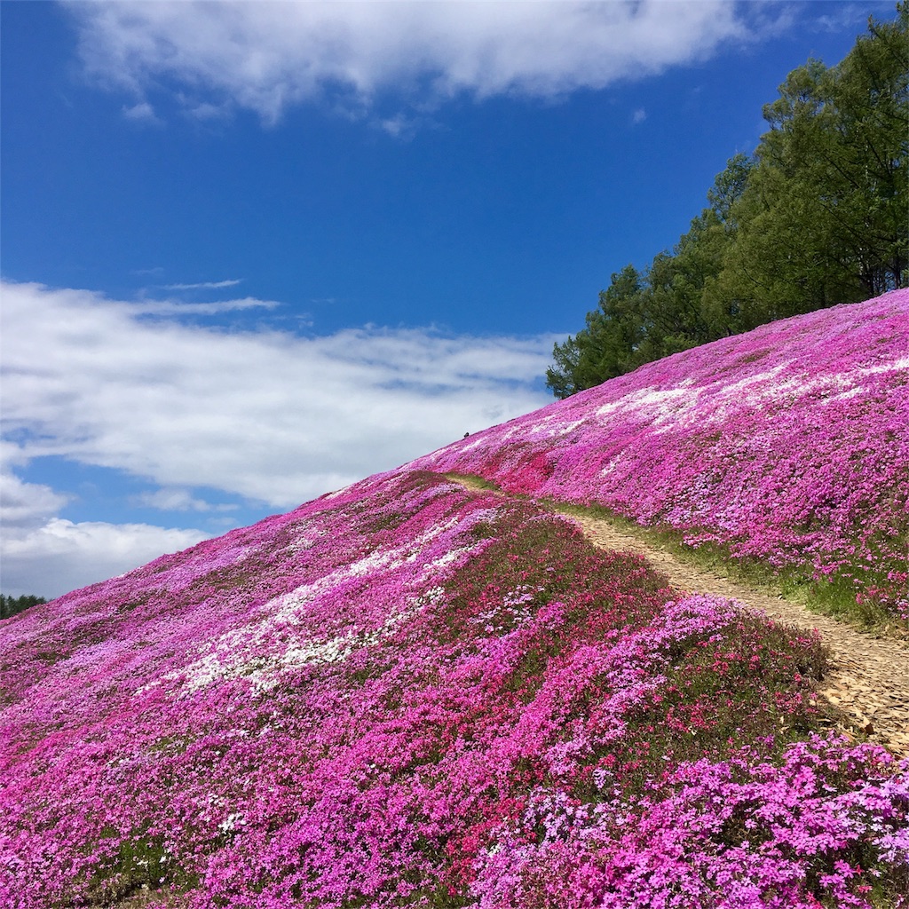 f:id:kumoribiniaruku:20180526024238j:plain f:id:kumoribiniaruku:20180526024238j:plain