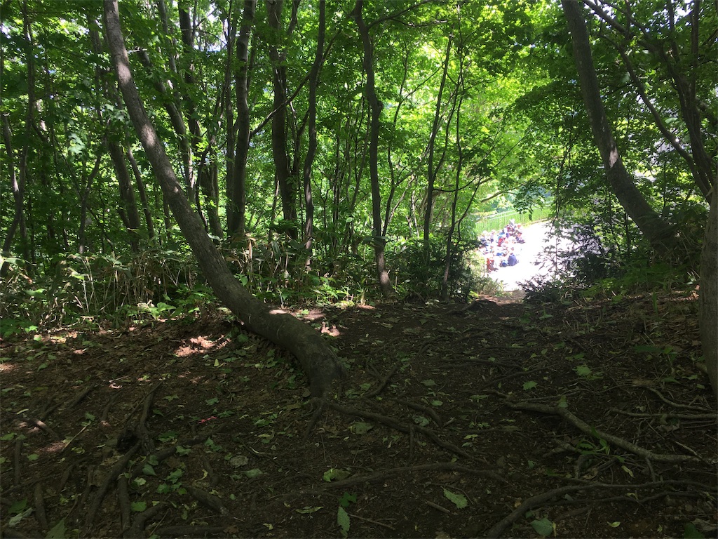 f:id:kumoribiniaruku:20180623224439j:plain f:id:kumoribiniaruku:20180623224439j:plain