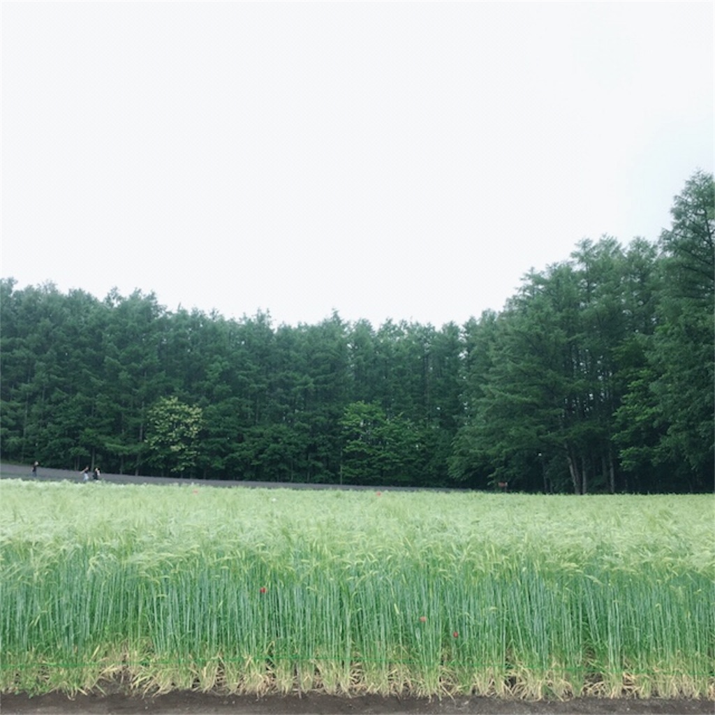 f:id:kumoribiniaruku:20180715235847j:plain f:id:kumoribiniaruku:20180715235847j:plain