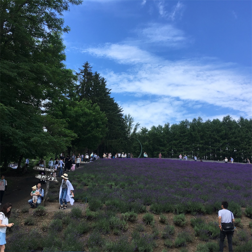 f:id:kumoribiniaruku:20180716014407j:plain f:id:kumoribiniaruku:20180716014407j:plain