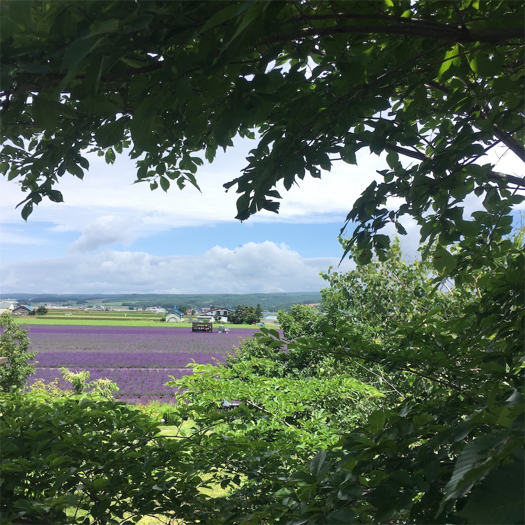 f:id:kumoribiniaruku:20180716031225j:plain f:id:kumoribiniaruku:20180716031225j:plain