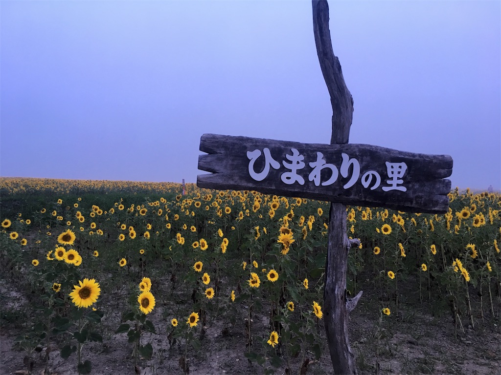 f:id:kumoribiniaruku:20180804084850j:image f:id:kumoribiniaruku:20180804084850j:image