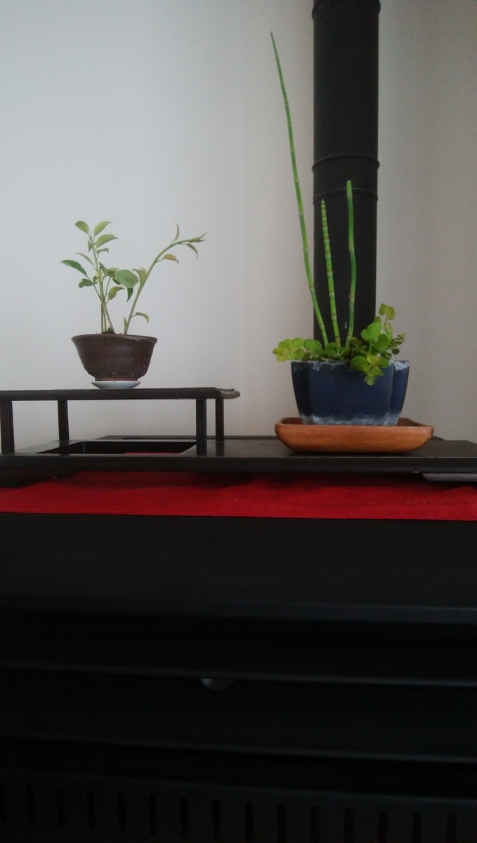 f:id:kumorihikaru:20190612163209j:plain