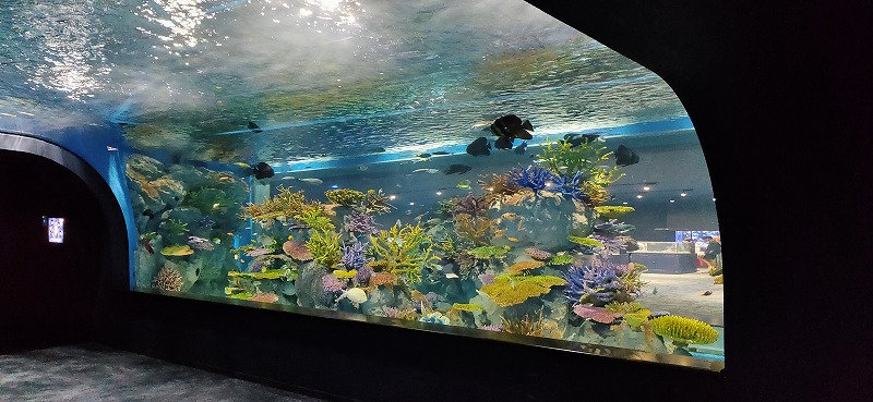 f:id:kumoue:20210829193314j:plain