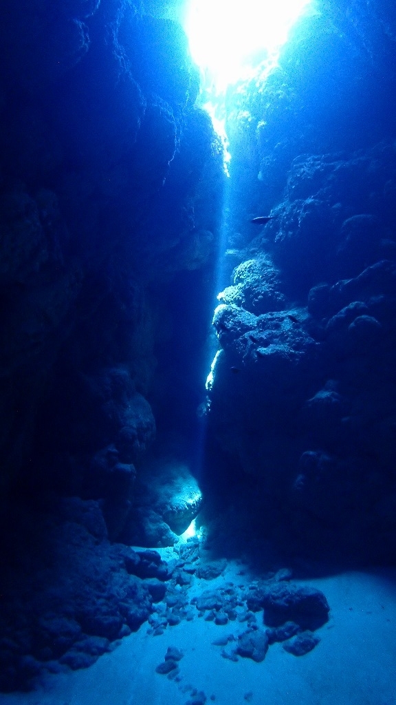 f:id:kumoue:20210926204323j:plain