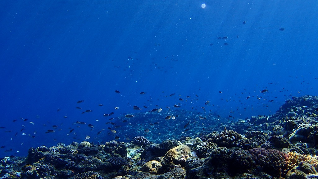 f:id:kumoue:20210926204355j:plain