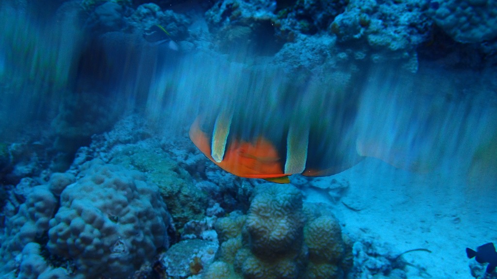 f:id:kumoue:20211024220805j:plain