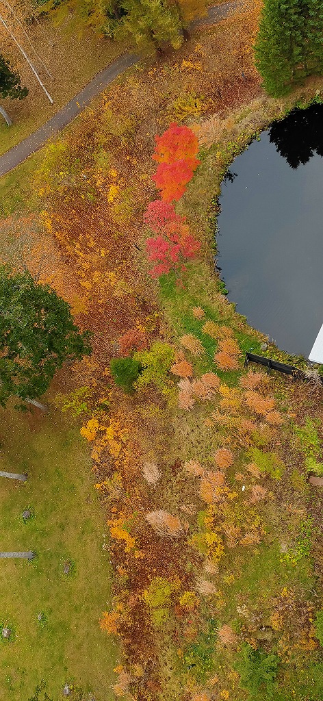 f:id:kumoue:20211129230214j:plain