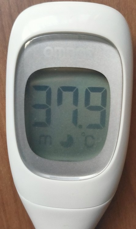 f:id:kumoue:20220213193117j:plain