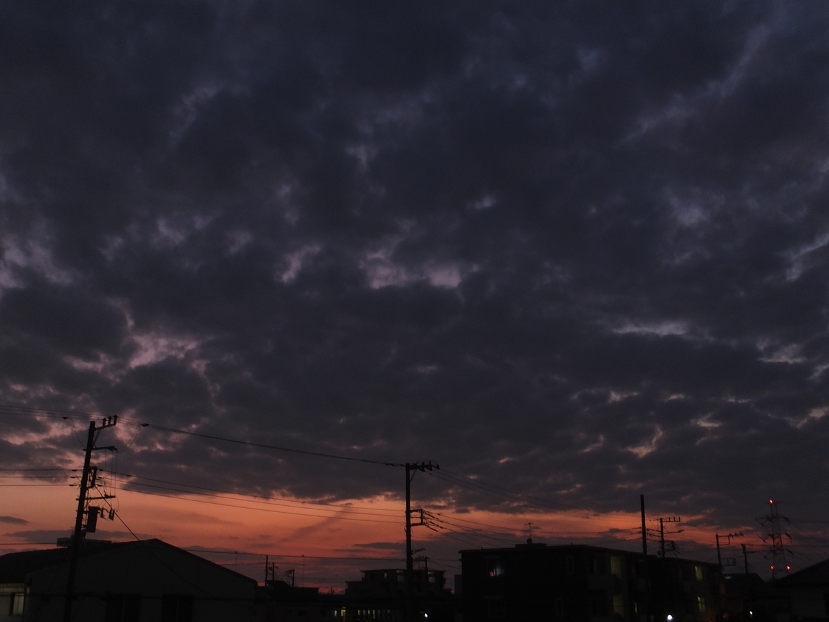 f:id:kumowasukidesuka:20191031203950j:plain