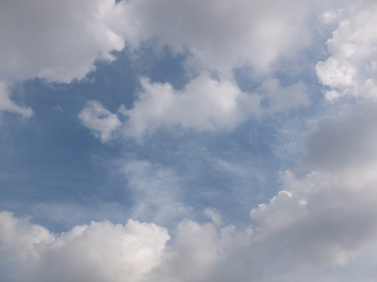 f:id:kumowasukidesuka:20191031204816j:plain