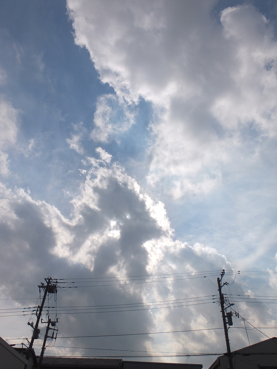 f:id:kumowasukidesuka:20191031205009j:plain