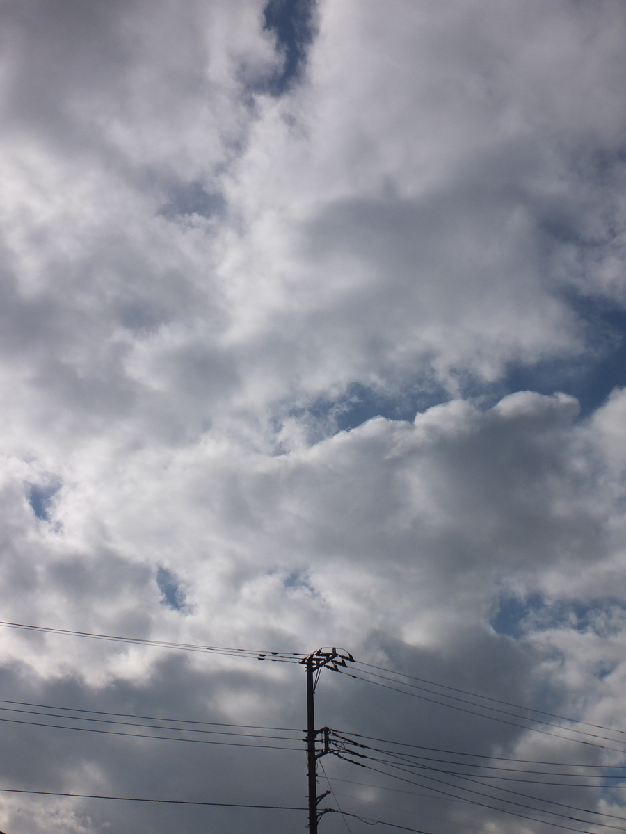 f:id:kumowasukidesuka:20191210202224j:plain