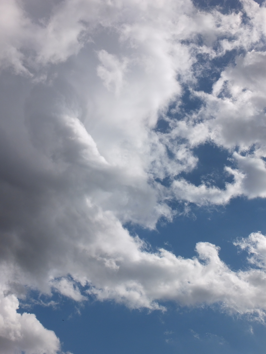 冬の積乱雲 雲は好きですか 冬の積乱雲 雲は好きですか