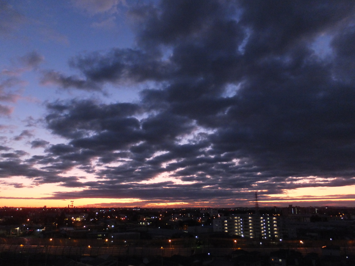 f:id:kumowasukidesuka:20191229094911j:plain