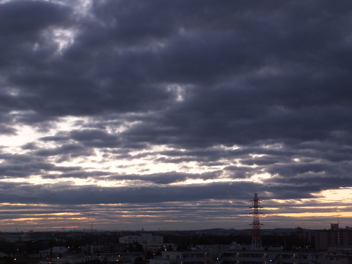 f:id:kumowasukidesuka:20191229095220j:plain