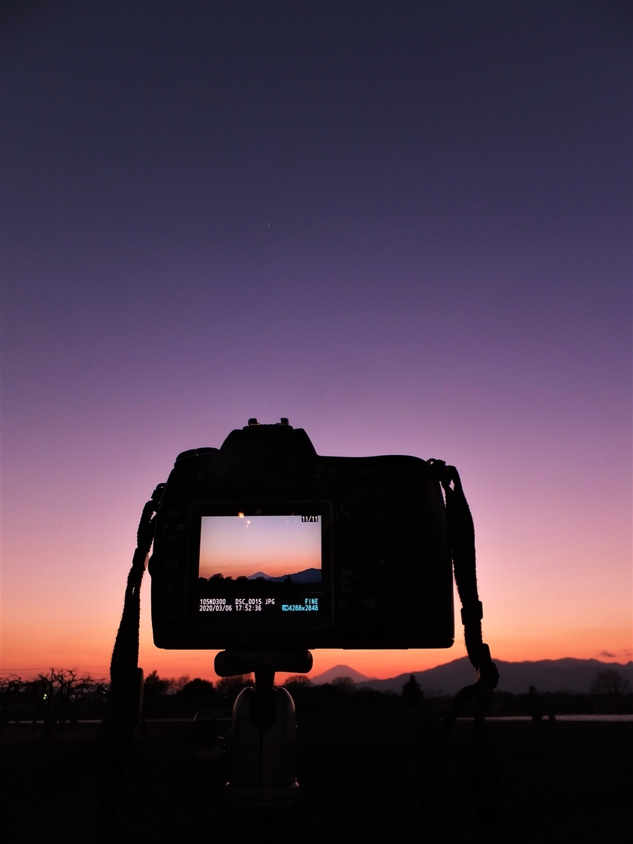 f:id:kumowasukidesuka:20200306175802j:plain