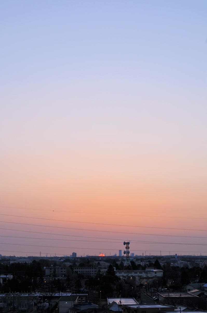 f:id:kumowasukidesuka:20200321094349j:plain