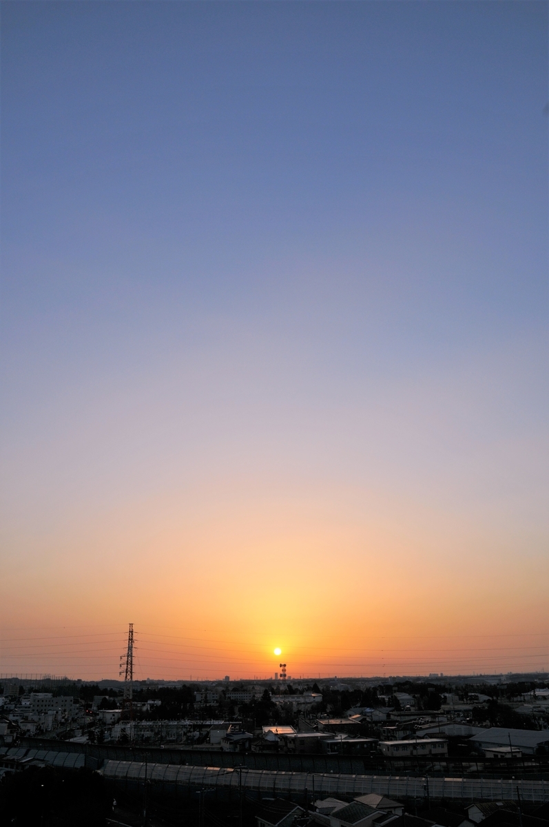 f:id:kumowasukidesuka:20200321094630j:plain