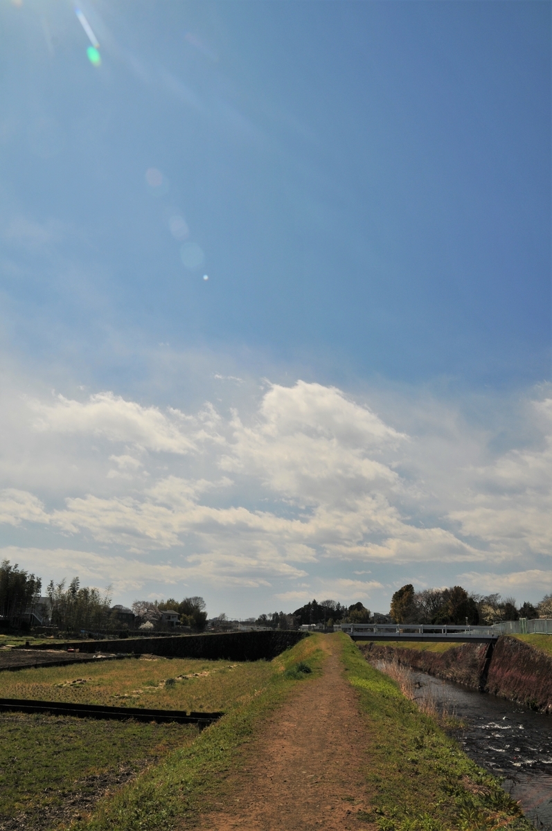 f:id:kumowasukidesuka:20200324223508j:plain f:id:kumowasukidesuka:20200324223508j:plain